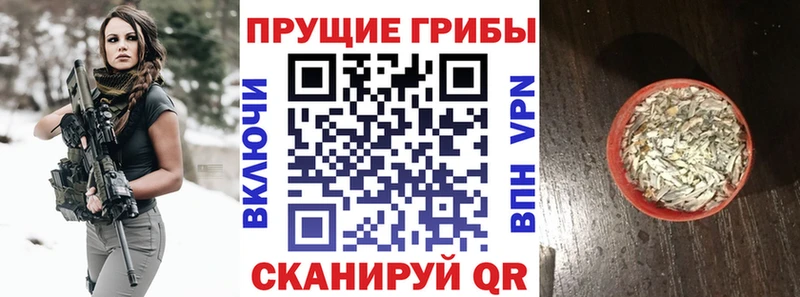 Галлюциногенные грибы мухоморы магазин наркотиков Кяхта